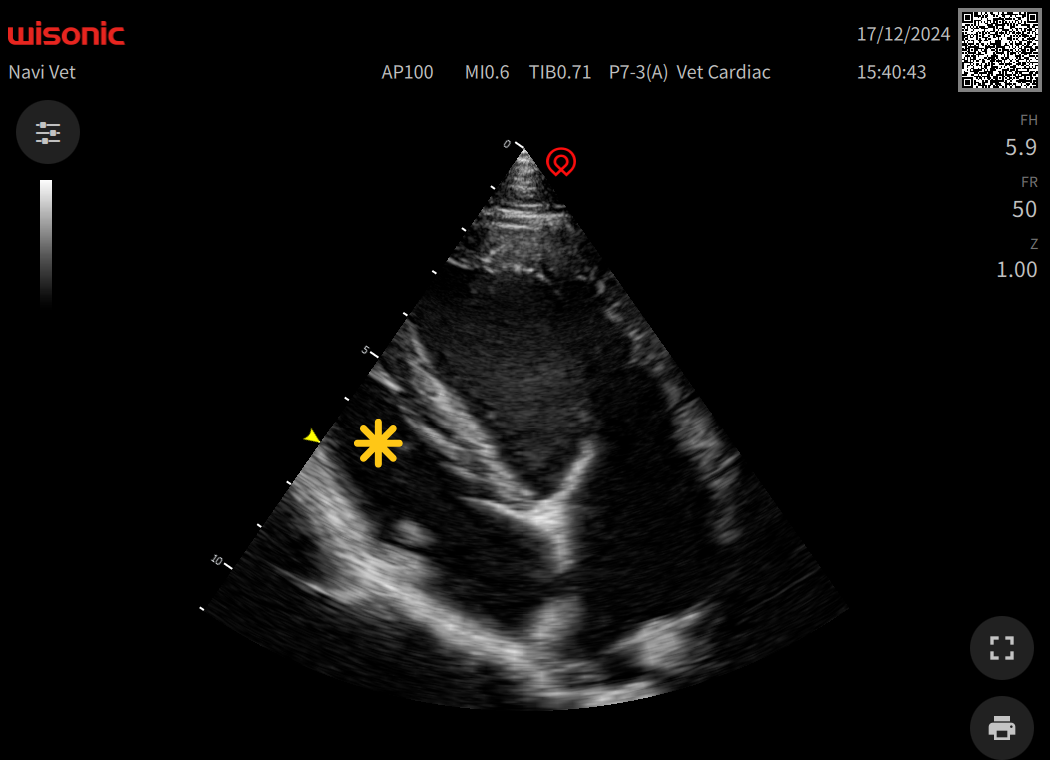 Interactive Case Webinar: General Cases