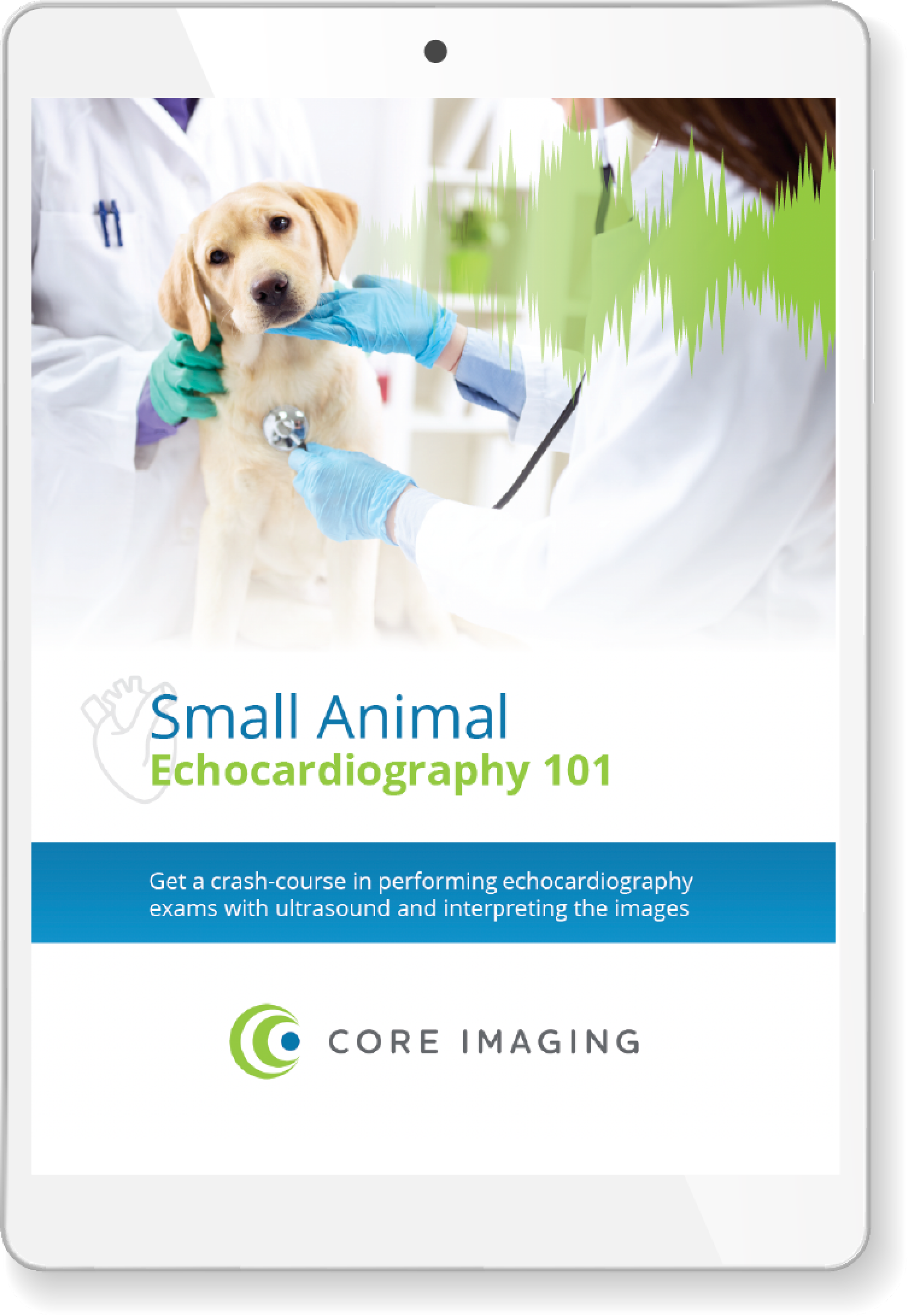 Step-by-Step GuideSmall Animal Echocardiography 101