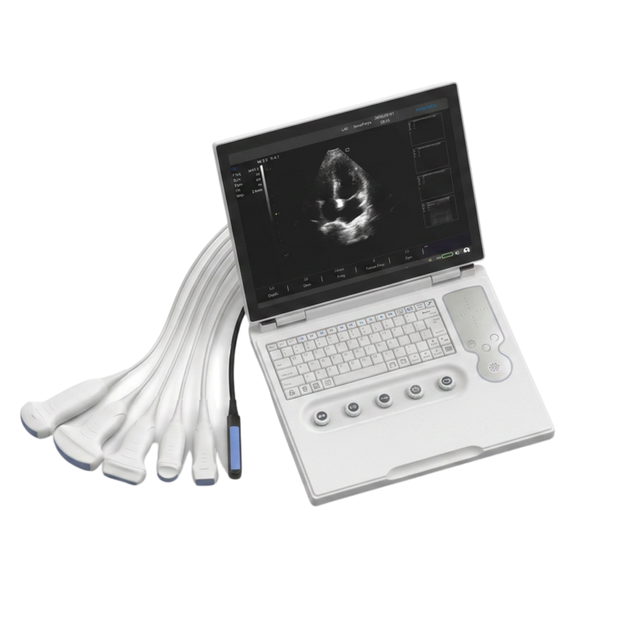 Piloter Ultrasound System